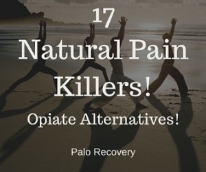 17 Natural Pain Killers